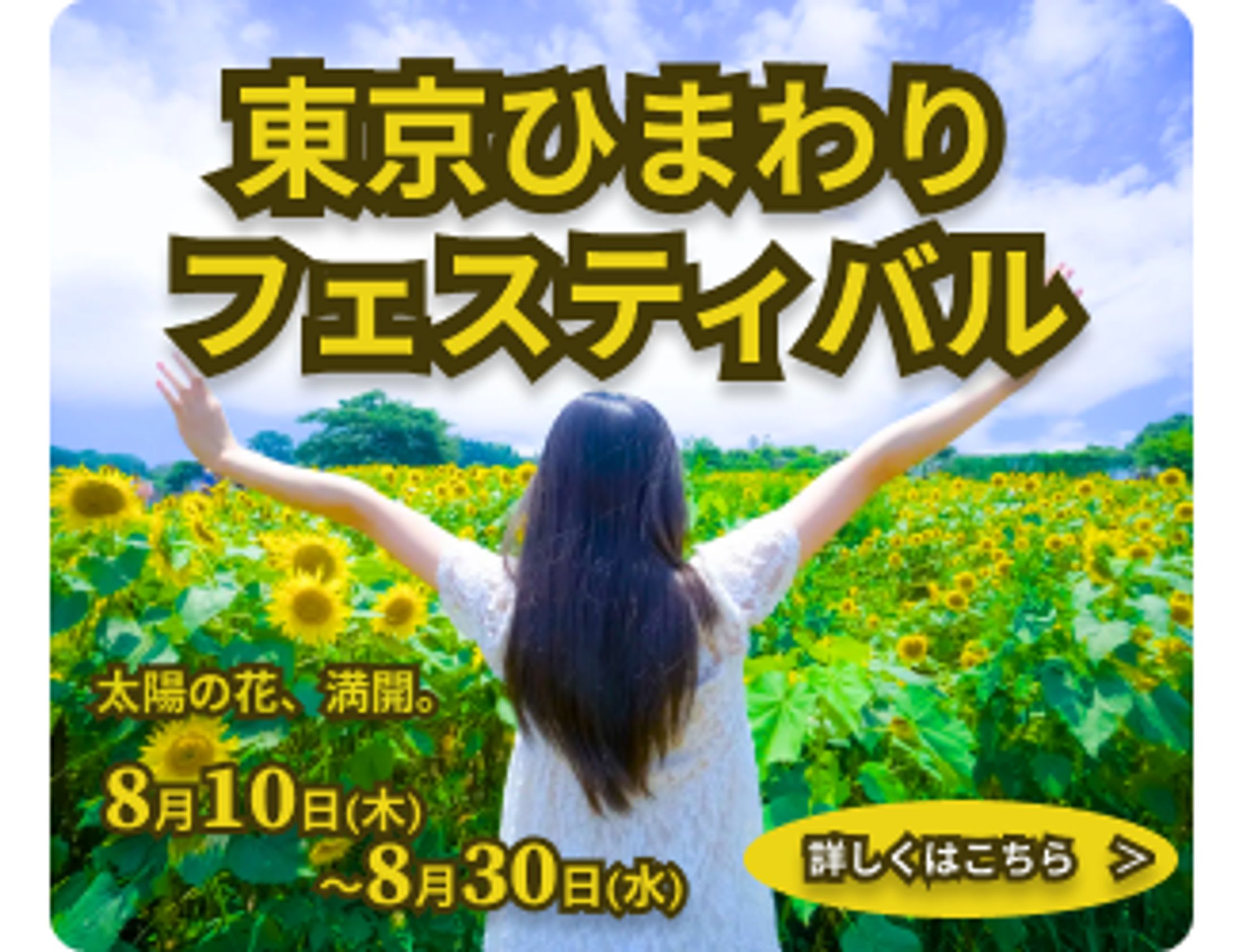 ひまわりバナー-1