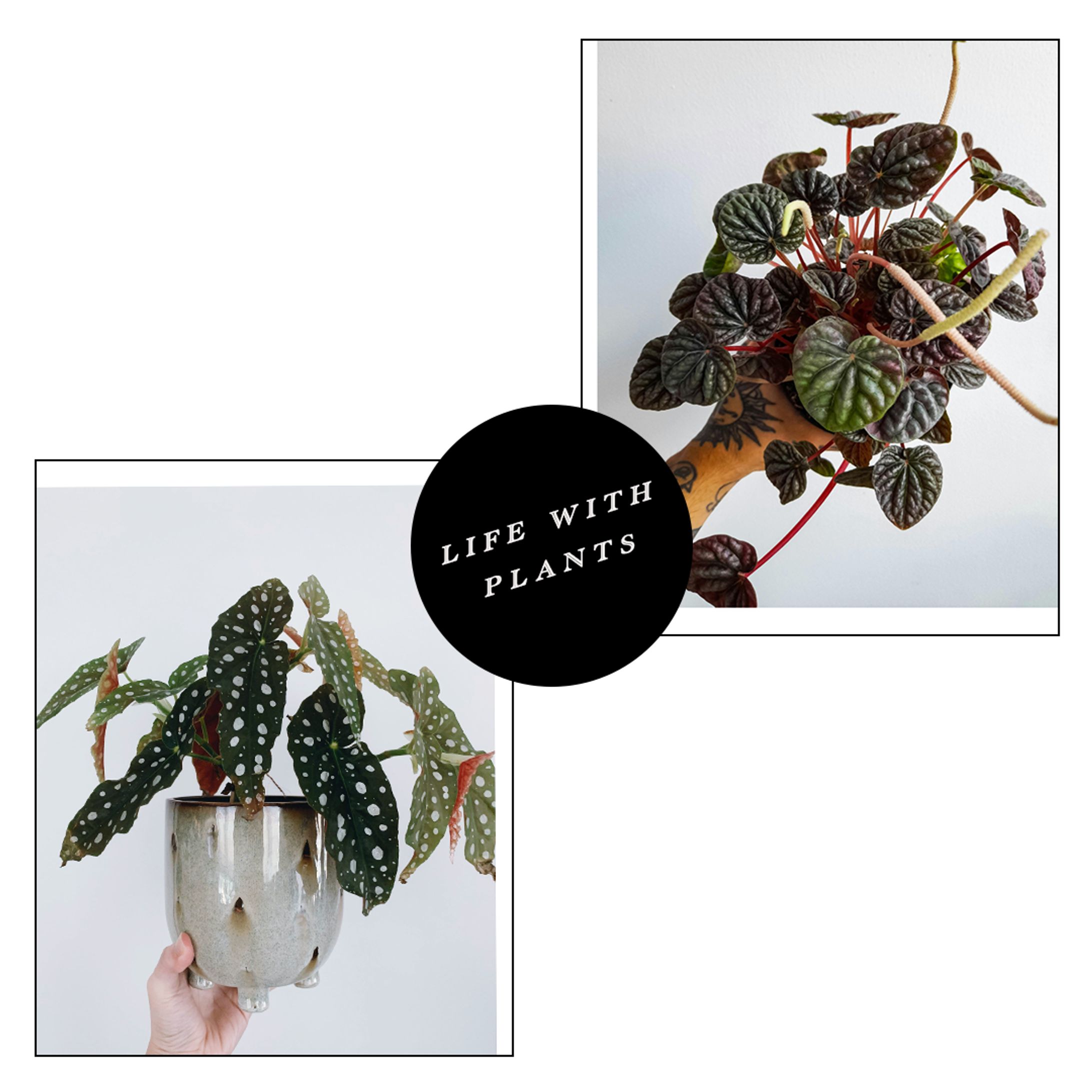 大人のLIFE STYLE　Bunner-1