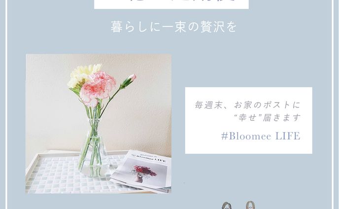 SHEbanner