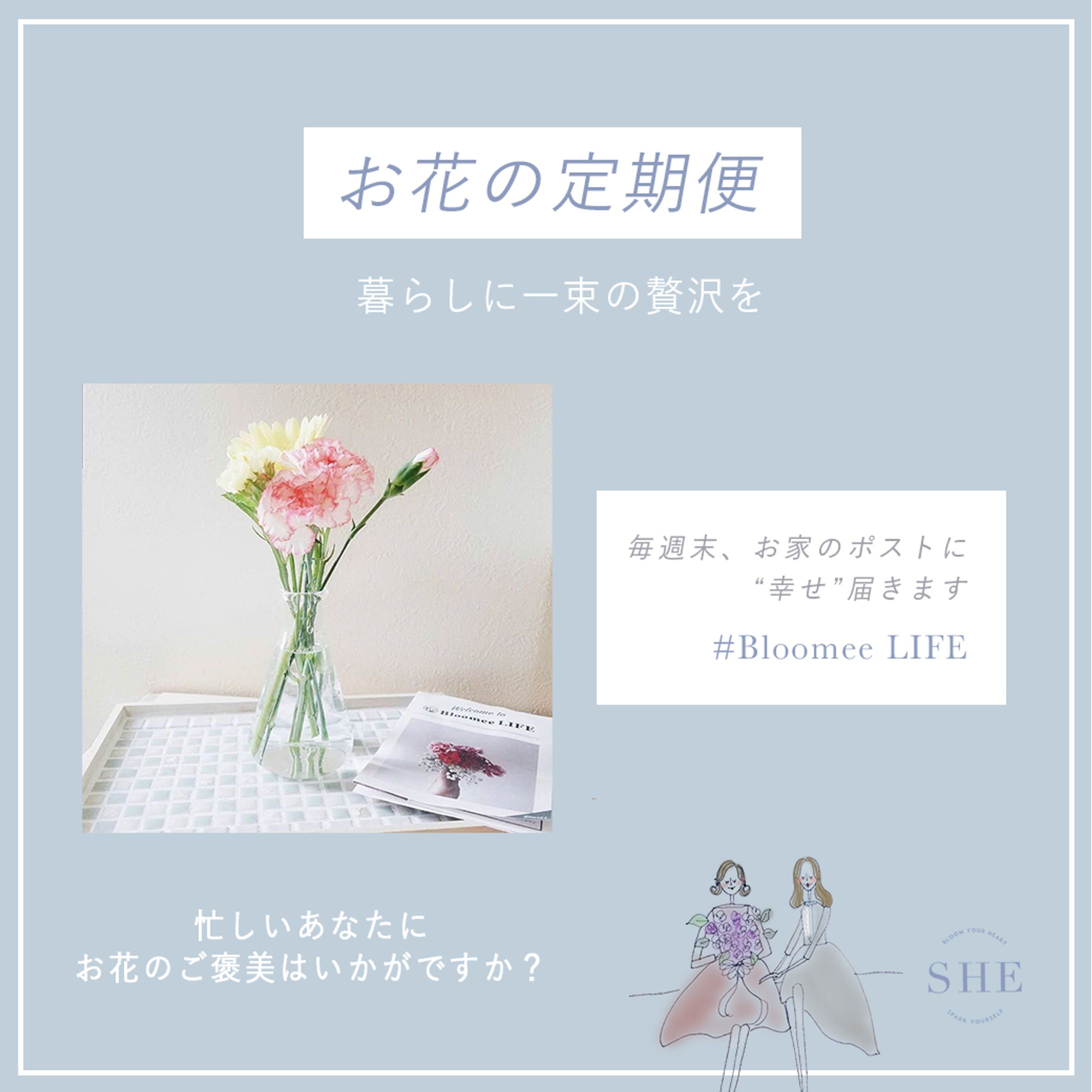 SHEbanner-1