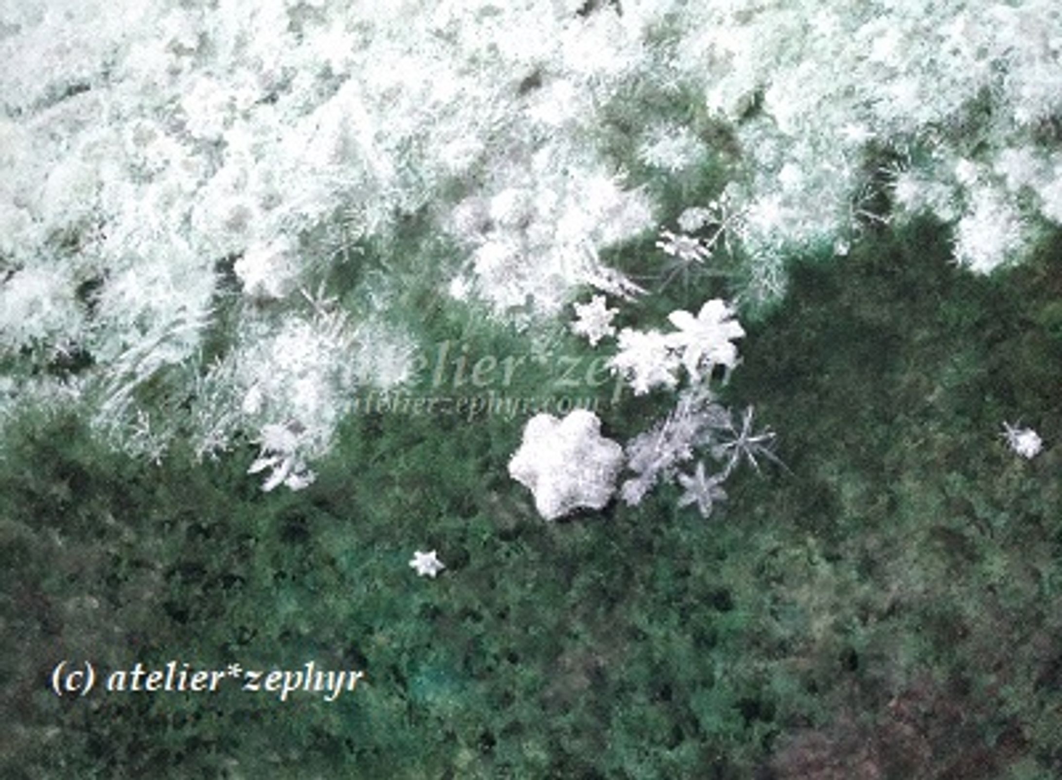 冬の便り（「Casie Art Contest Vol.1」入選）-1