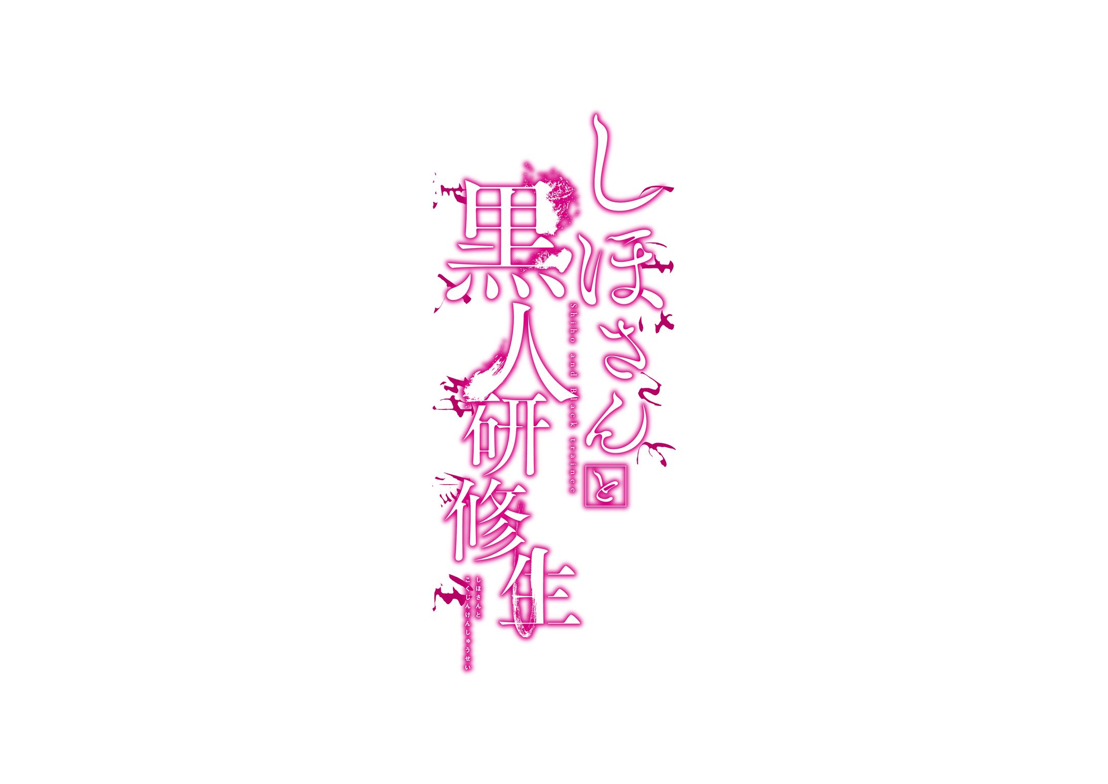 しほさんと黒人研究生-1