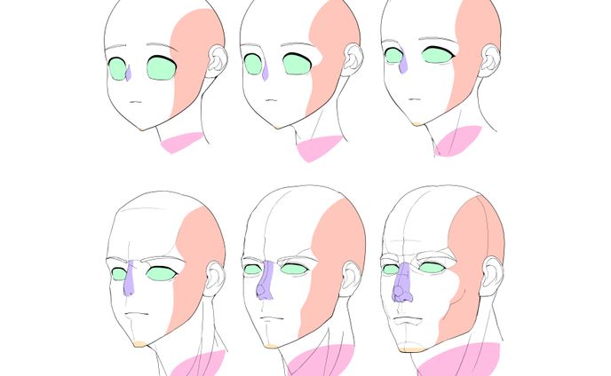 美術解剖学 年齢別顔