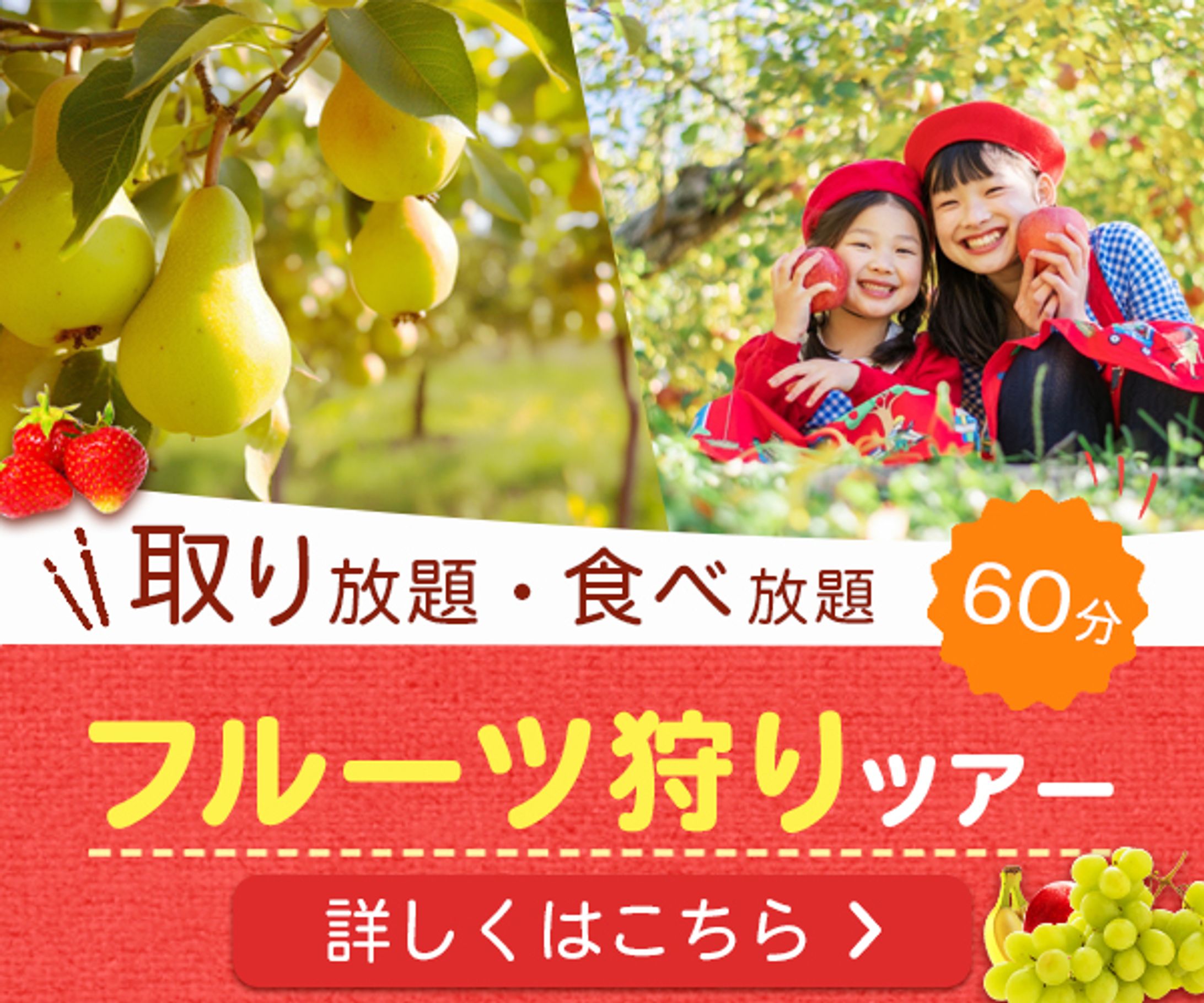 バナー：フルーツ狩りバナー-1