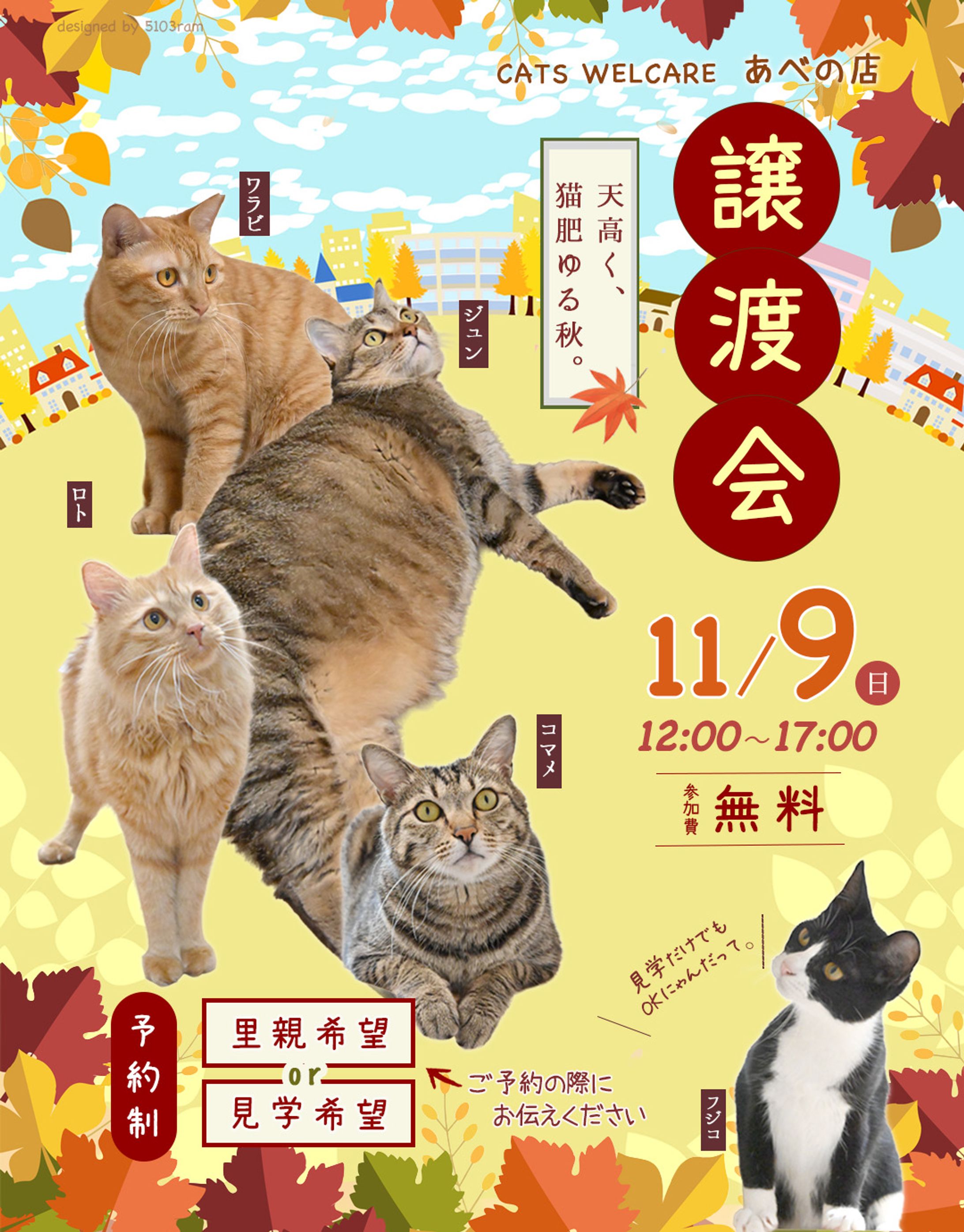 Instagram投稿バナー3枚組・11月-1