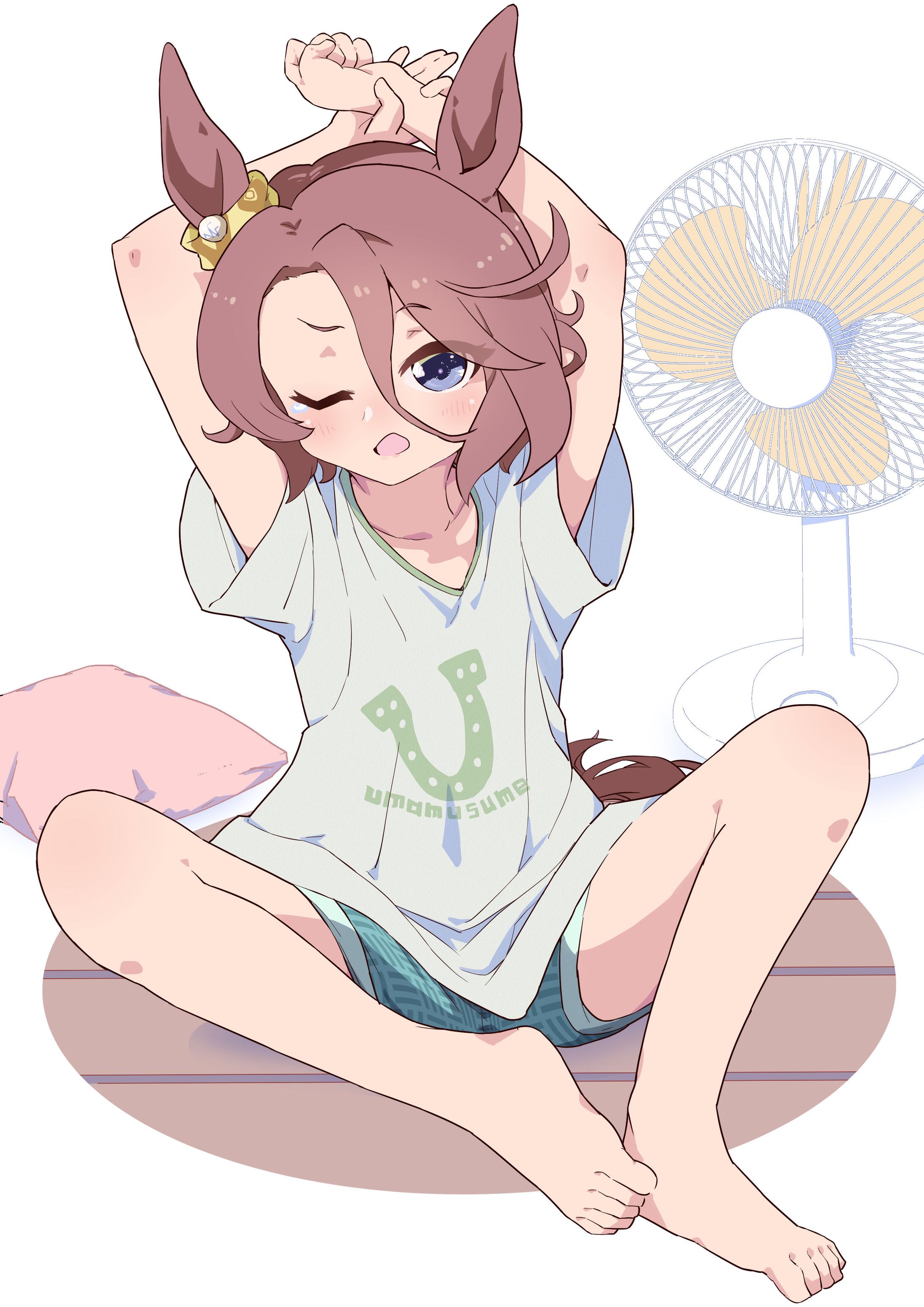 ナリタタイシン　夏服-1