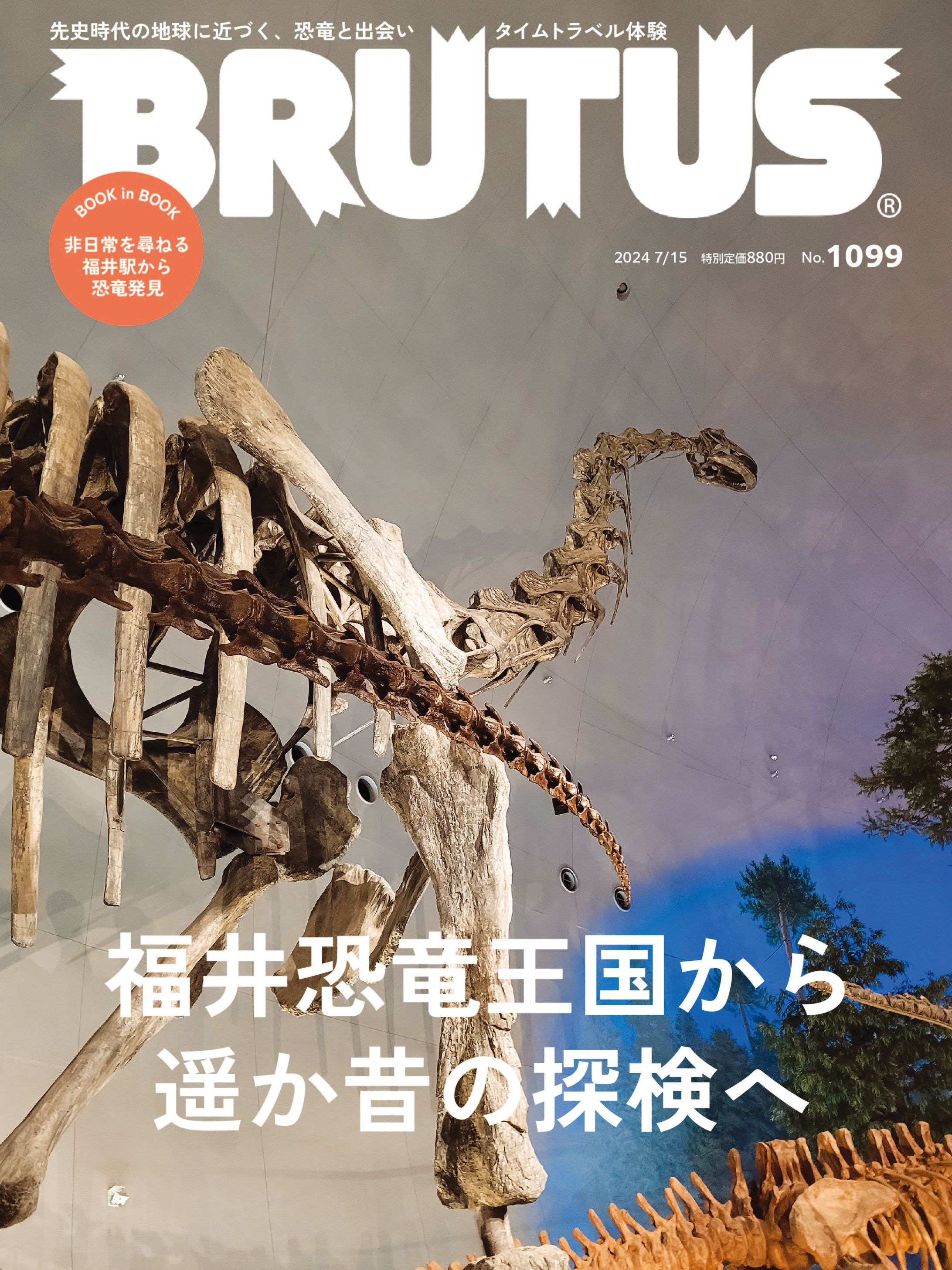 恐竜博物館雑誌特集-1