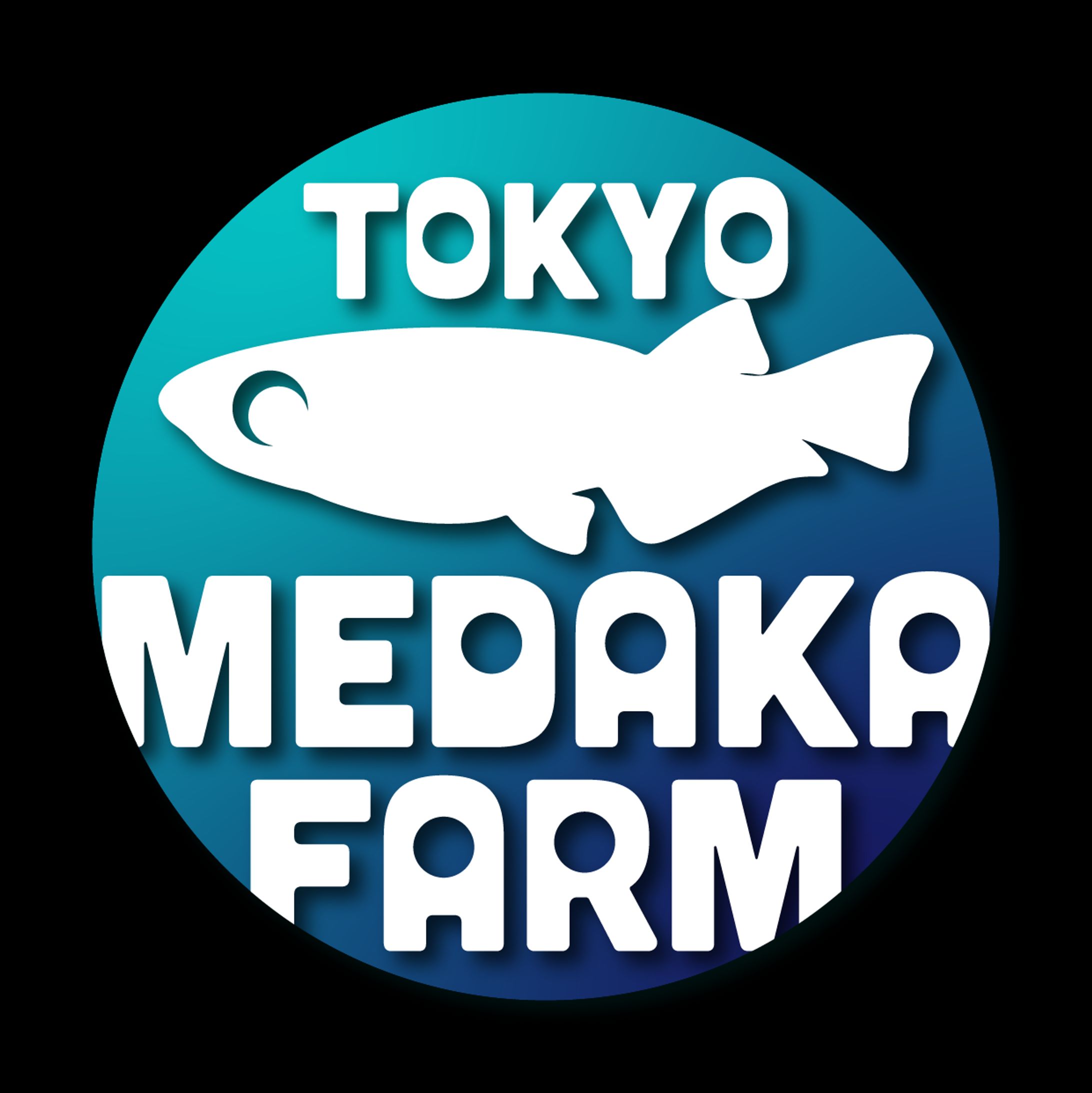 サンプル2-1