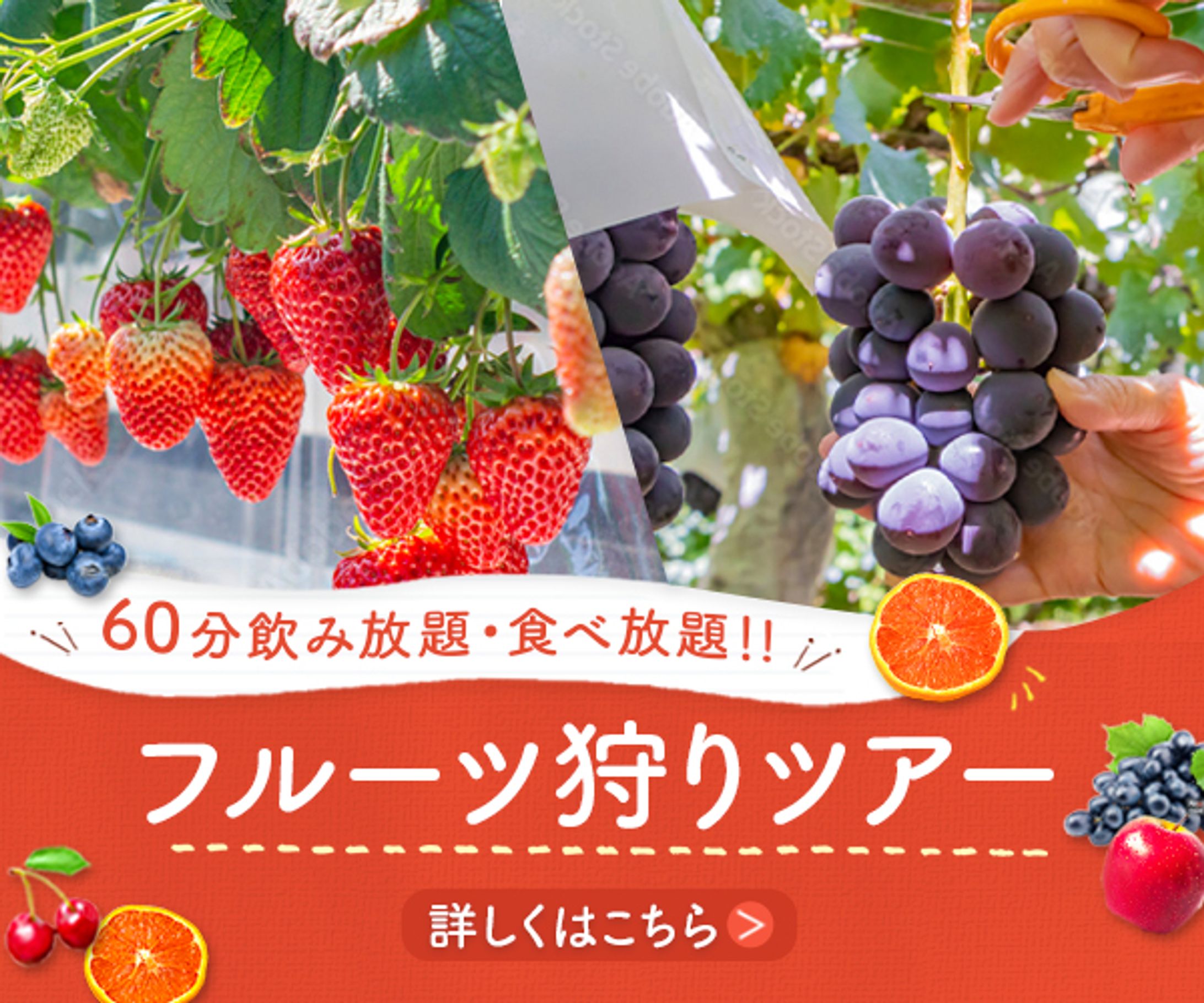 フルーツ狩り-1