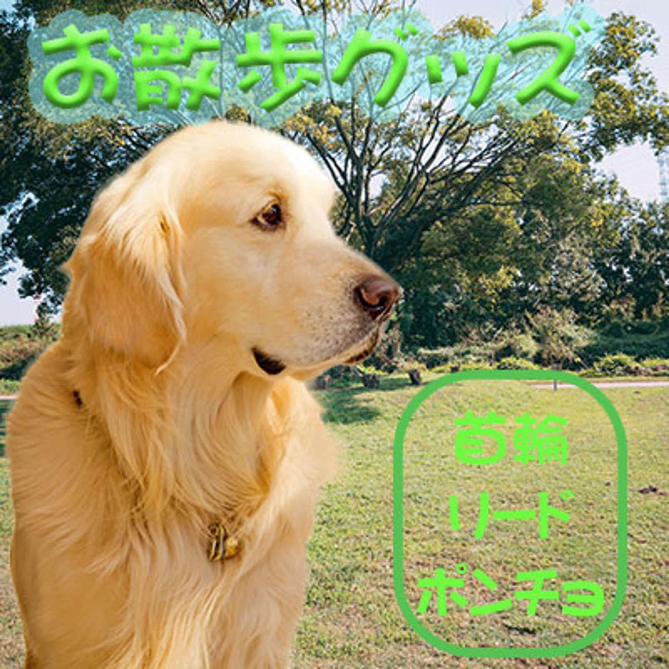 ペットショップ系のバナー制作（練習用）-1