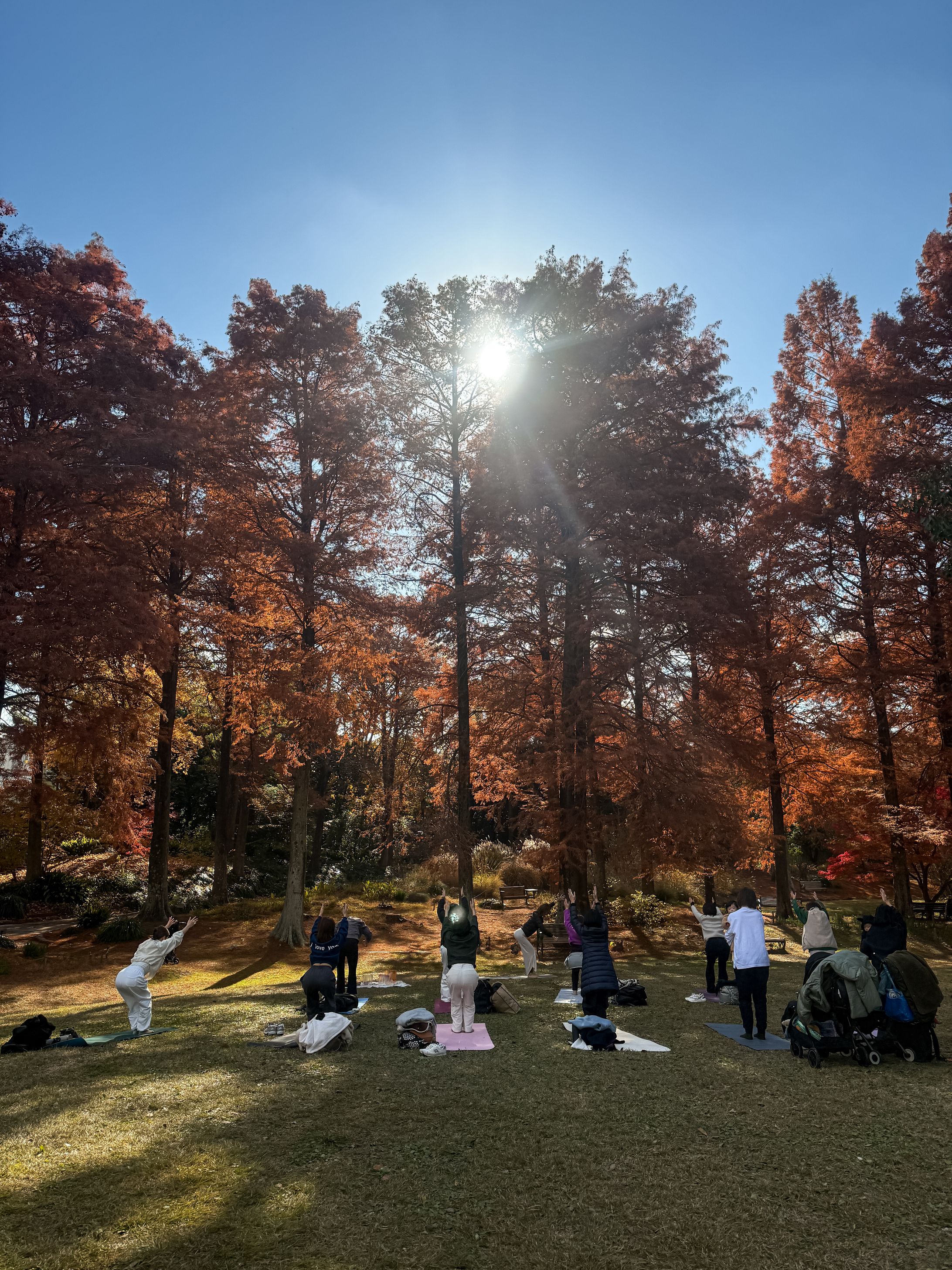 大阪　パークヨガ&サウンドメディテーション-1