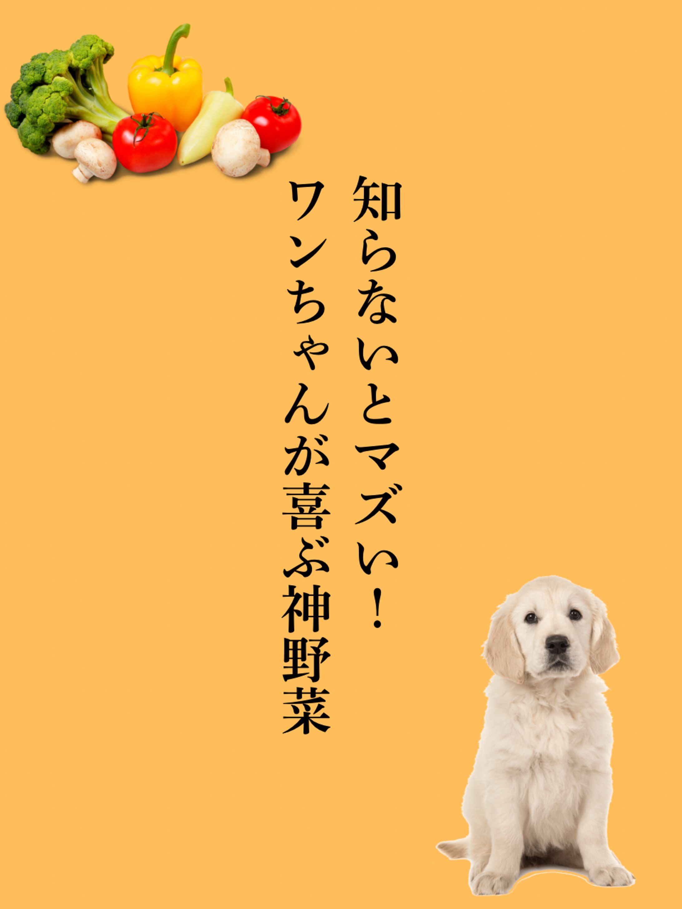 知らないとマズい！ワンちゃんが喜ぶ神野菜-1
