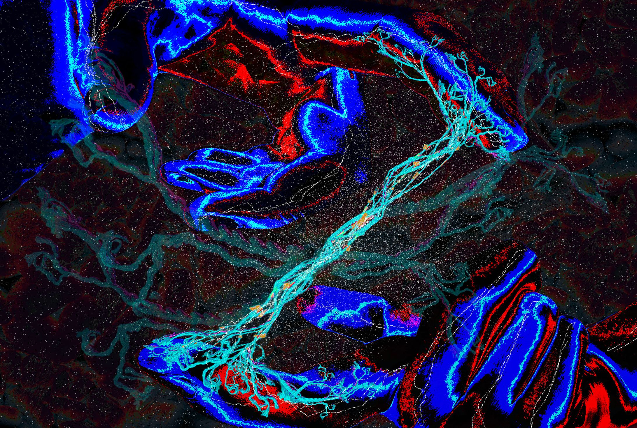 Digital Plane Composition fin-1