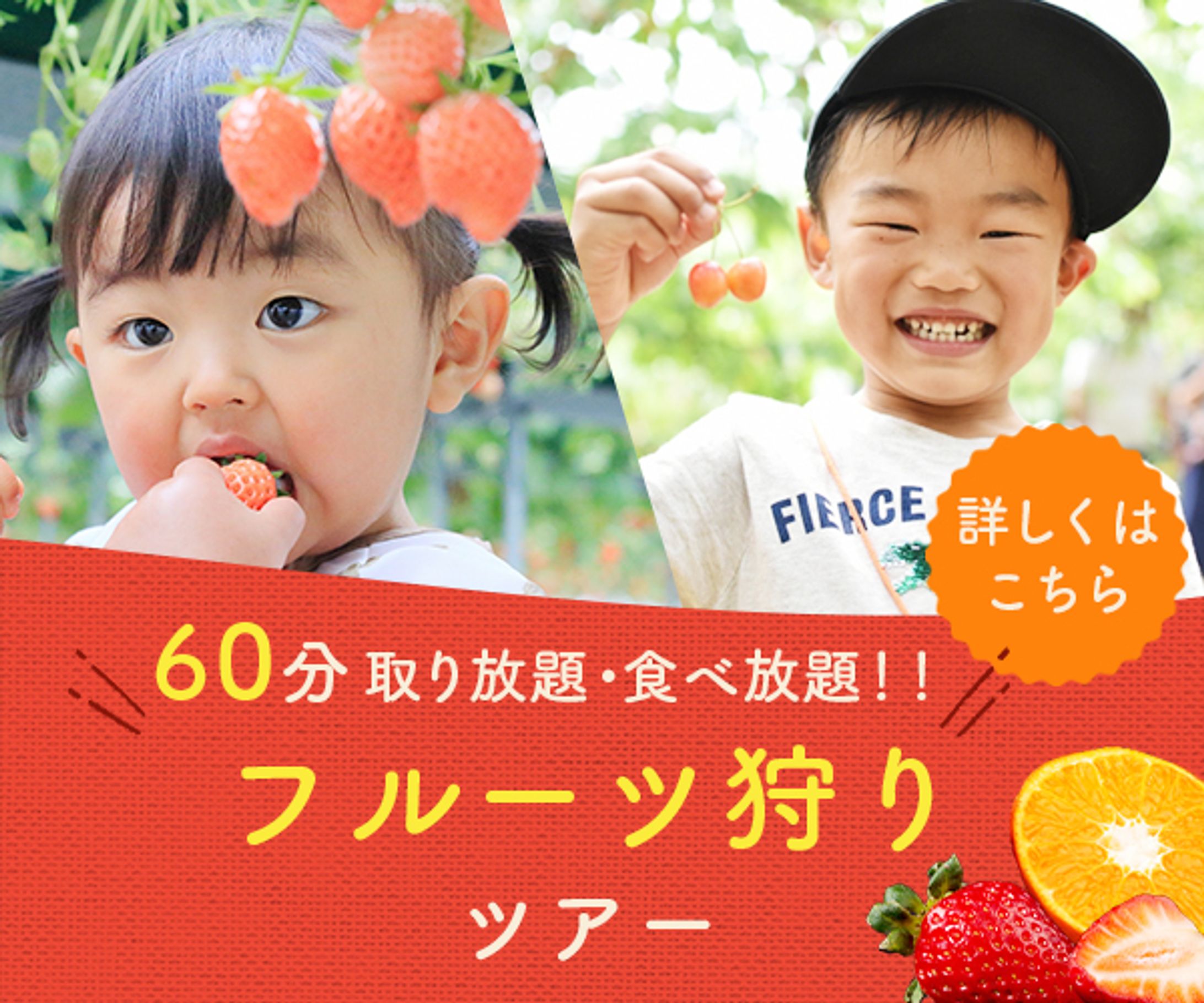 【バナー】フルーツ狩り(600×500)-1