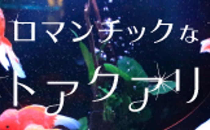 イラスト・デザイン、ポートレート