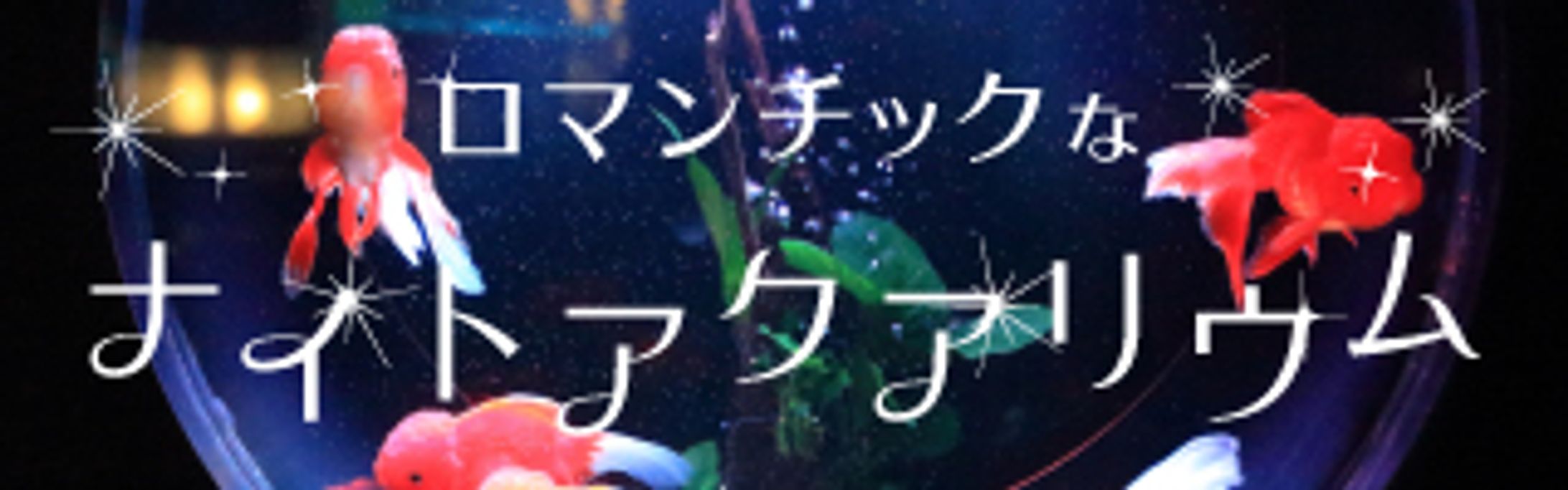バナー うらわ水族館ナイトアクアリウム-1