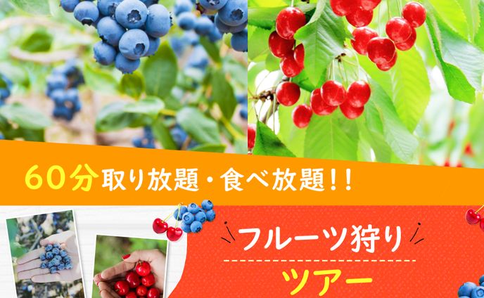 バナー　フルーツ狩り