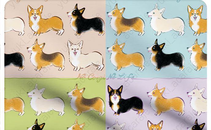 No Corgi No Life