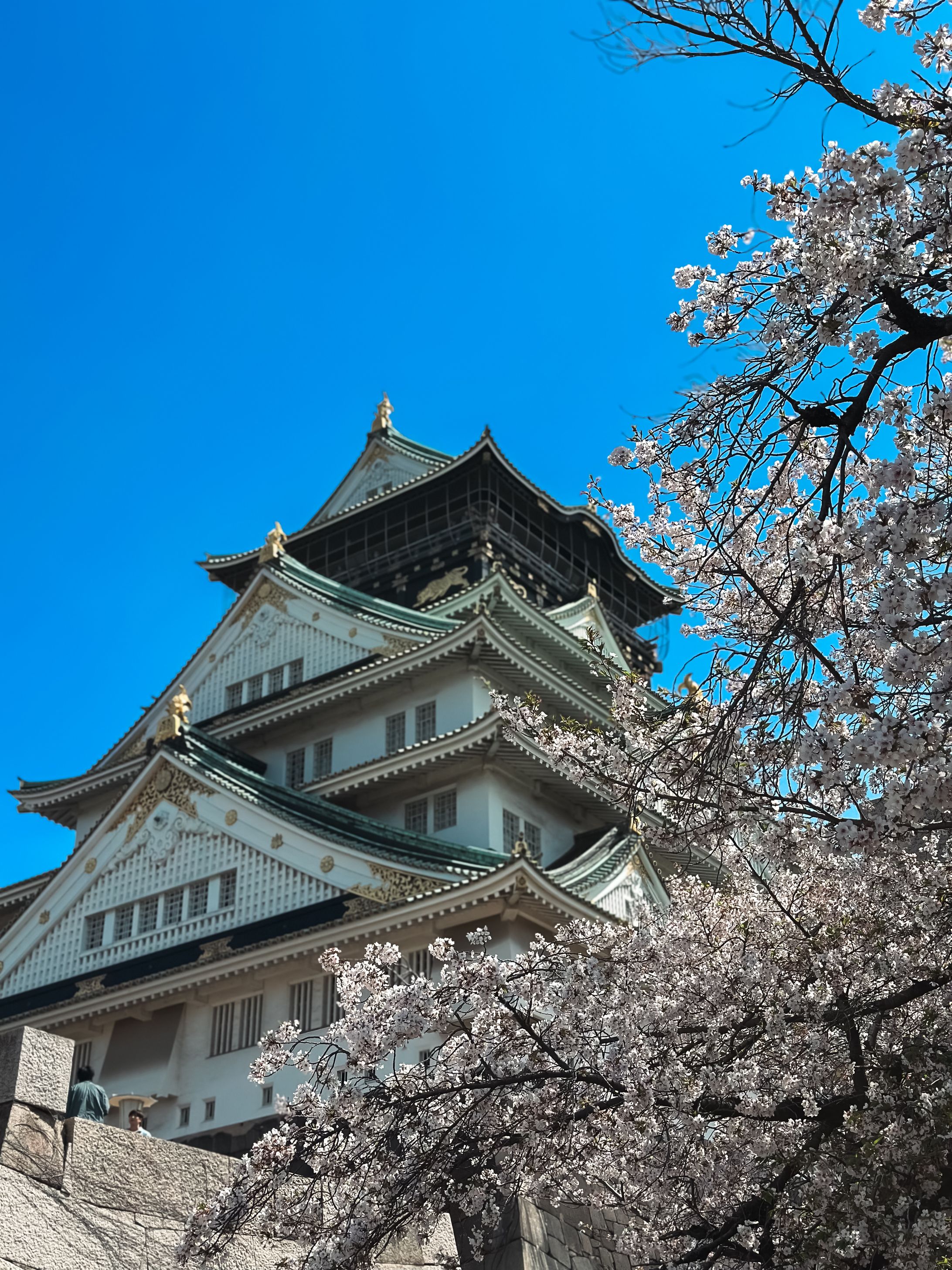 大阪城-1