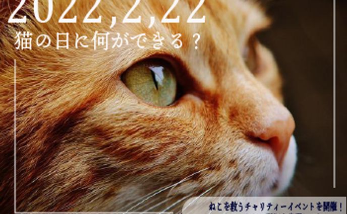 event、cat