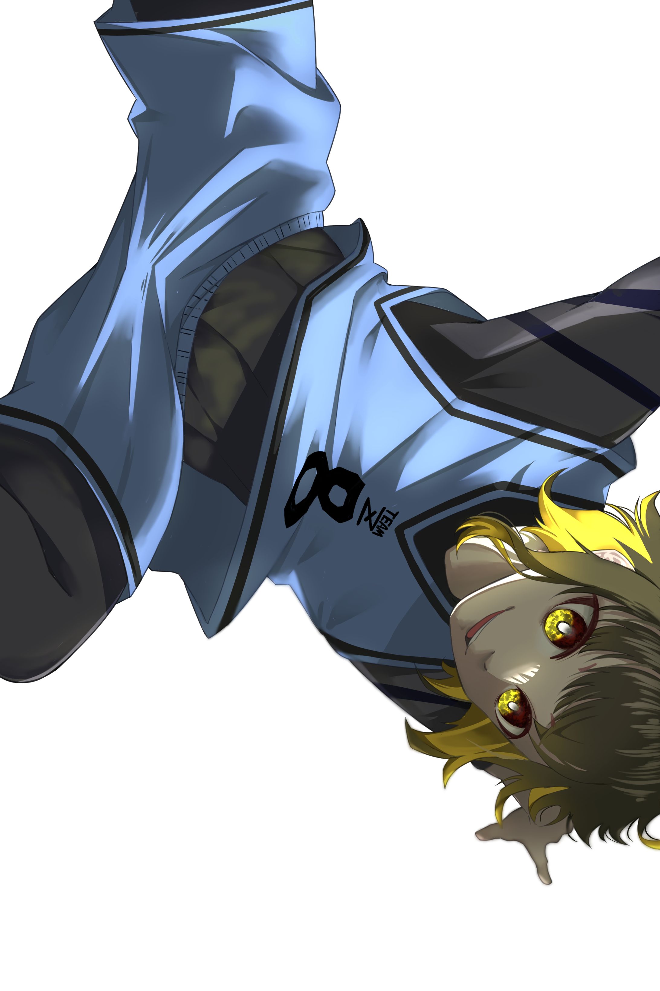 ご依頼 】蜂楽廻 全身一枚絵
