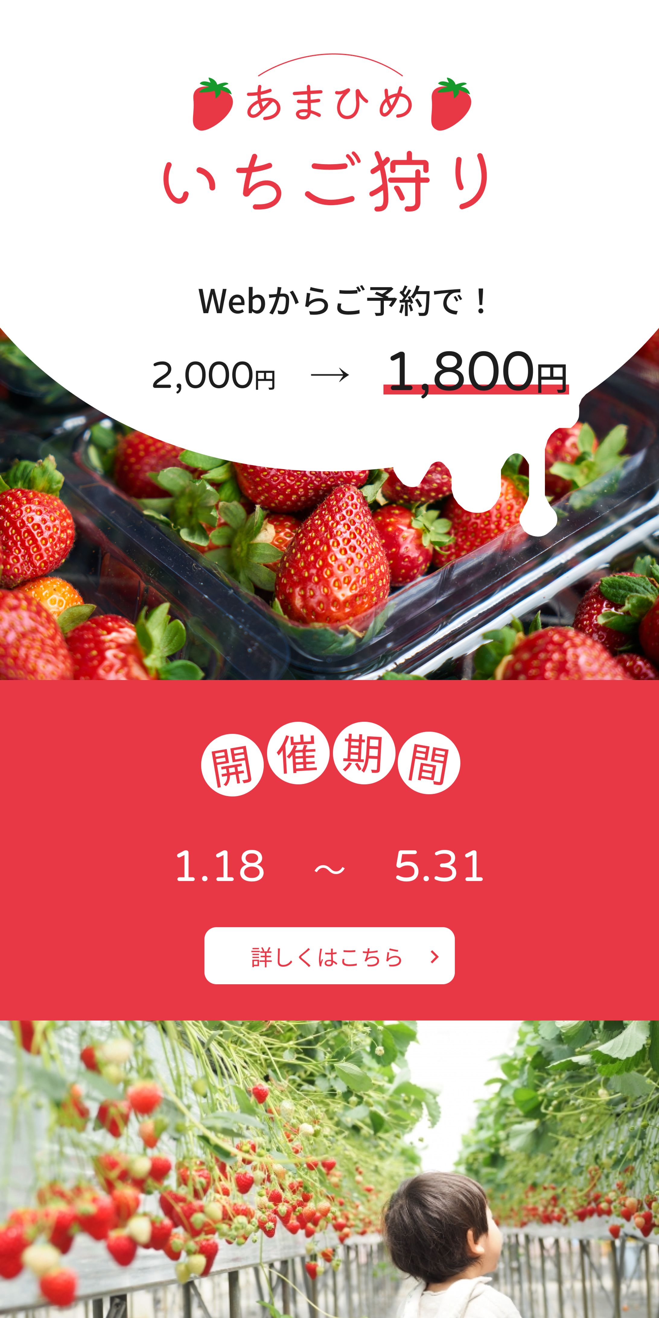 バナー制作　いちご狩り-1