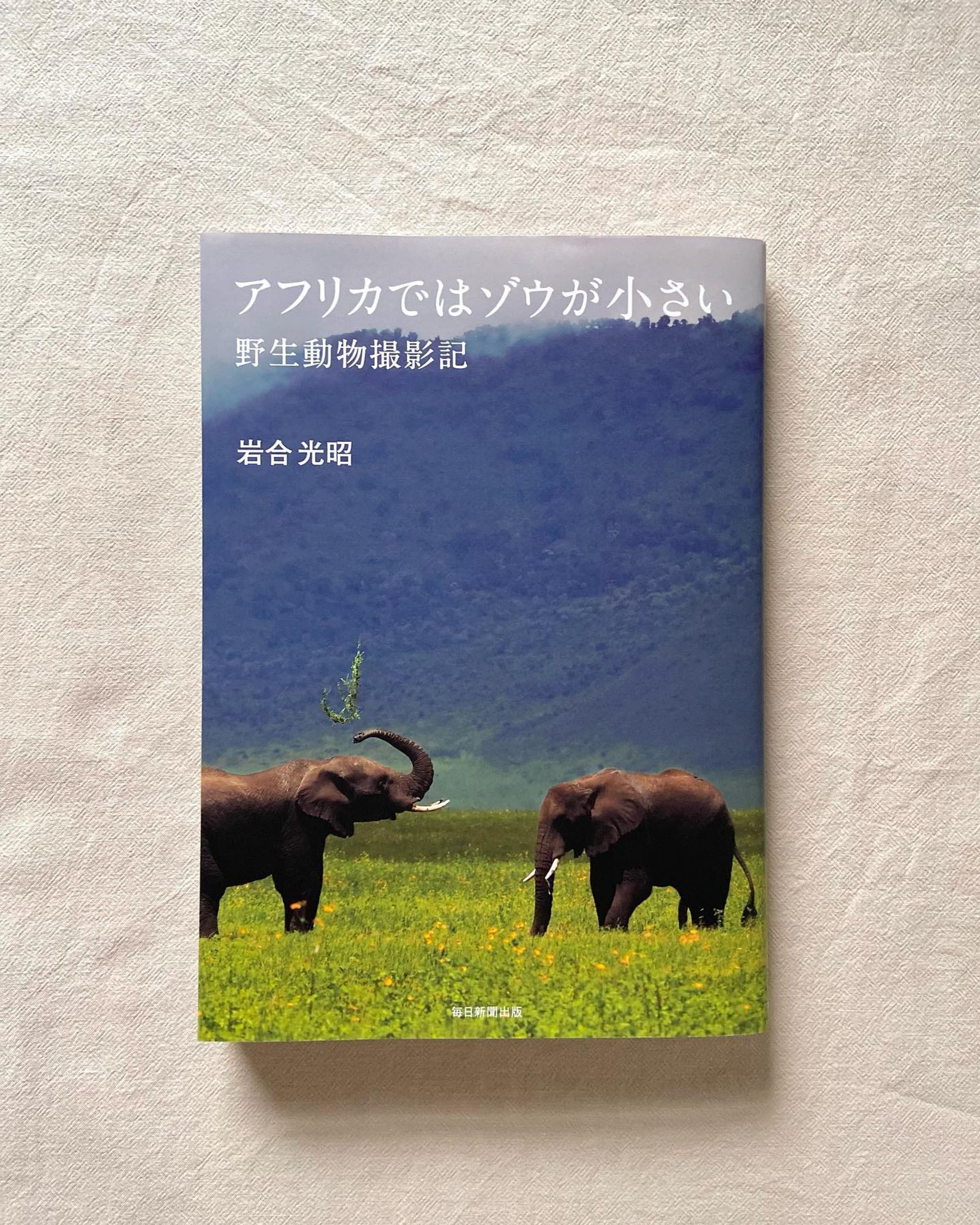エディトリアル　-1