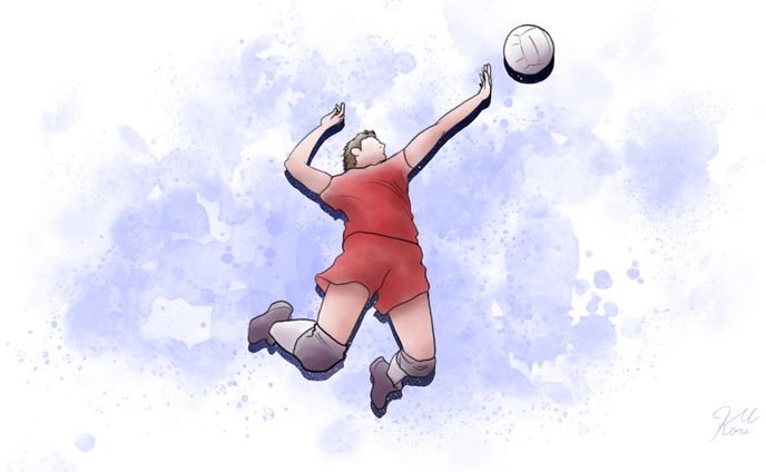 バレーボール男子日本代表イラスト（掲載：ウェブメディア）