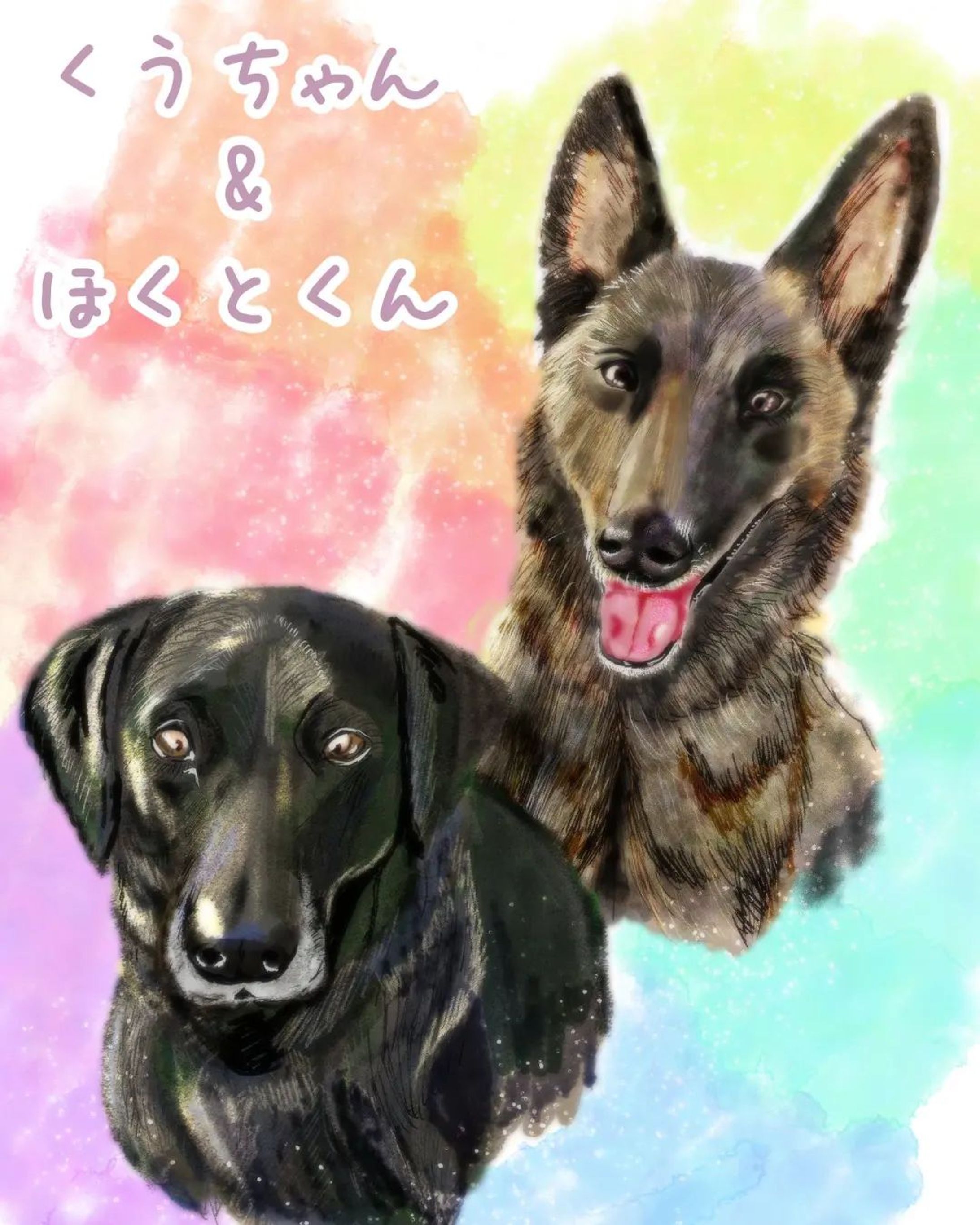 くうちゃんとほくと君完成しましたー！⁡⁡
⁡今回もこちらから「描かせてくれないか」とお声をかけまして😌
⁡いいよ！と快諾して下さる飼い主さんには感謝しかありません…⁡
⁡@candy_kuu_hokuto さん、本当にありがとうございましたm(_ _)m⁡✨
⁡・
いやー…犬種によって骨格がまったく違うことに今更ながら驚かされます。⁡
⁡猫ちゃんは割と似たような骨格なのに、ワンコは小型、中型、大型で耳の形まで全く異なりますよね。⁡
⁡同じご先祖さまとは思えません。不思議だ
⁡・⁡
⁡・
⁡ #イラスト⁡
⁡ #犬スタグラム ⁡
⁡ #犬のいる暮らし ⁡
⁡ #イラスト受付中-1