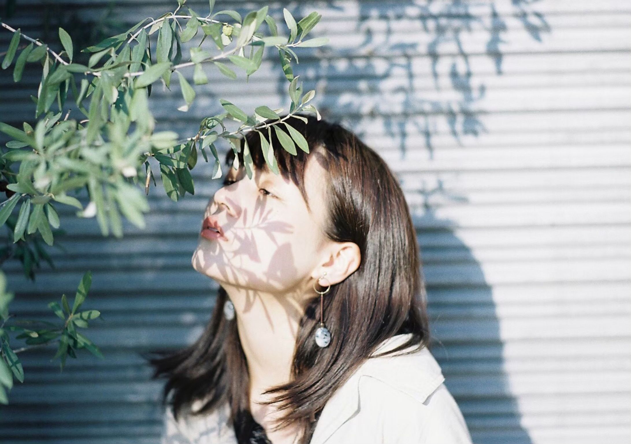 photo / watarire accessory-1