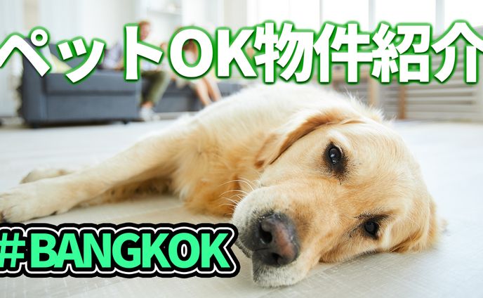 【サムネ】ペットOK物件①