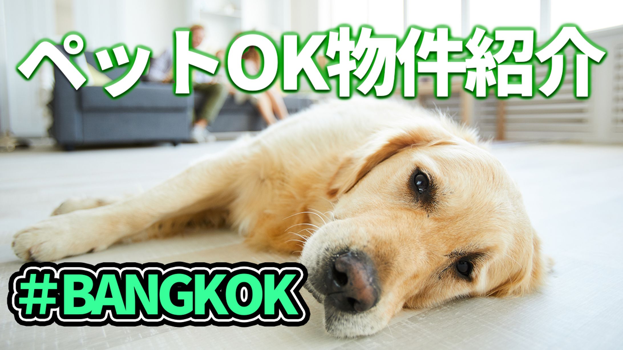 【サムネ】ペットOK物件①-1