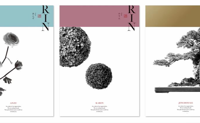 editorial design
