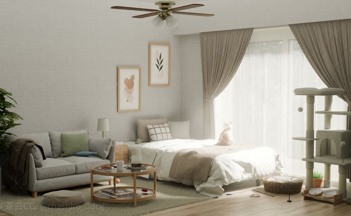 猫と暮らす部屋