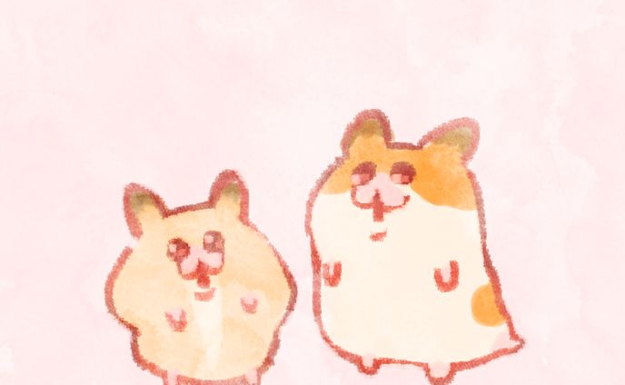 ハムスター