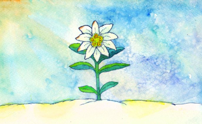 透明水彩背景イラスト