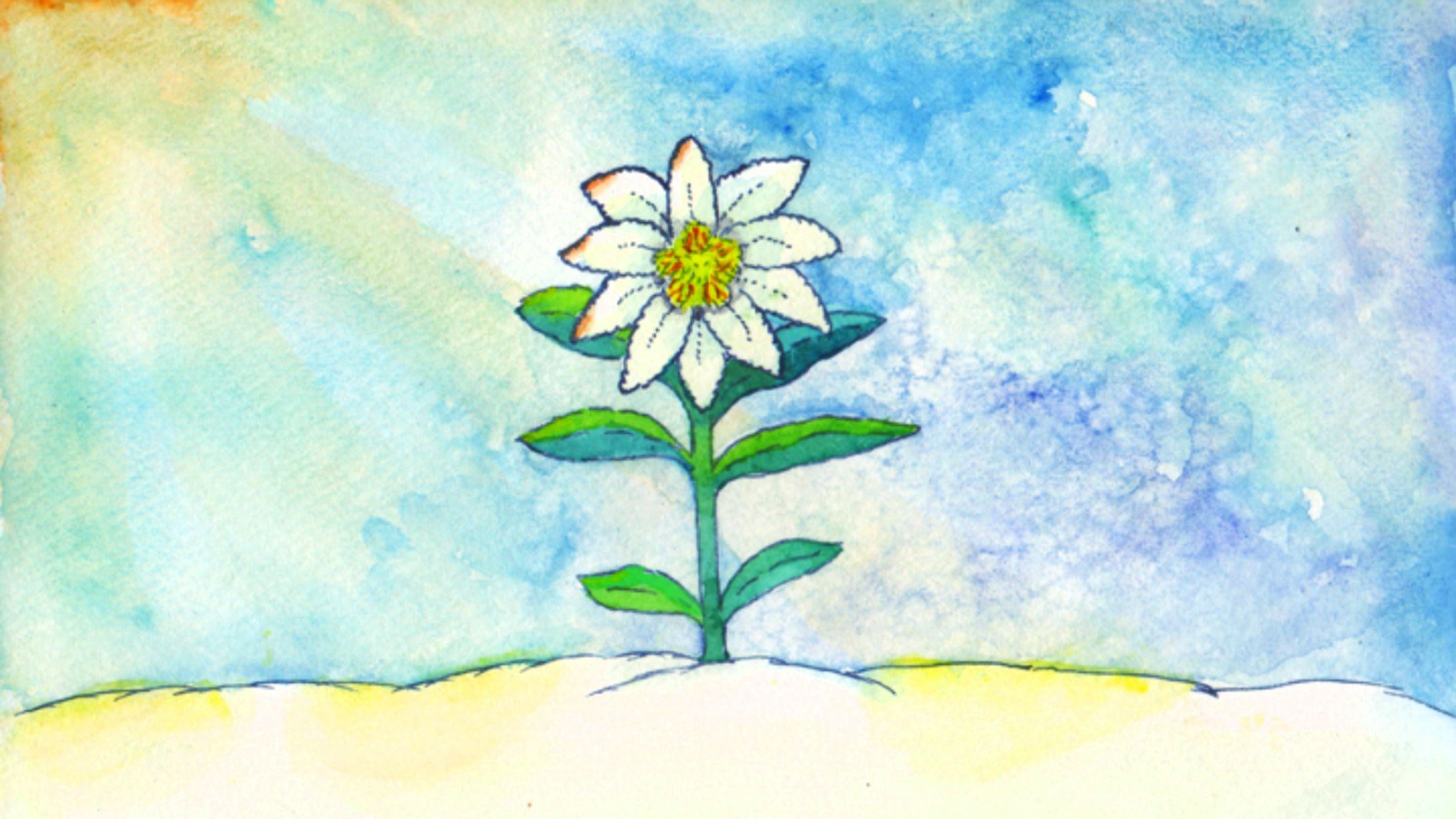 透明水彩背景イラスト-1