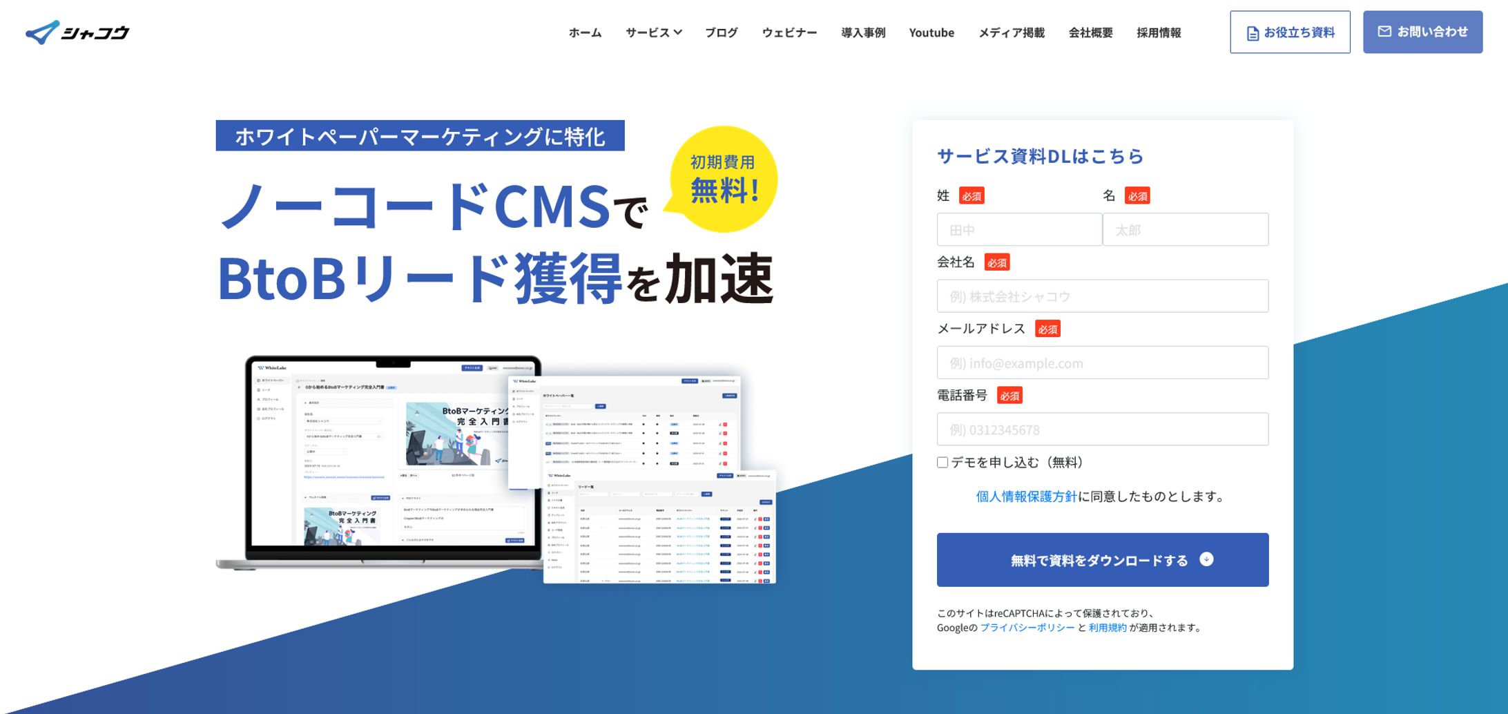 LPマーケティングサービスサイト-1