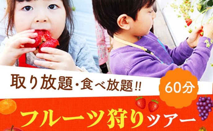 フルーツ狩り　バナー