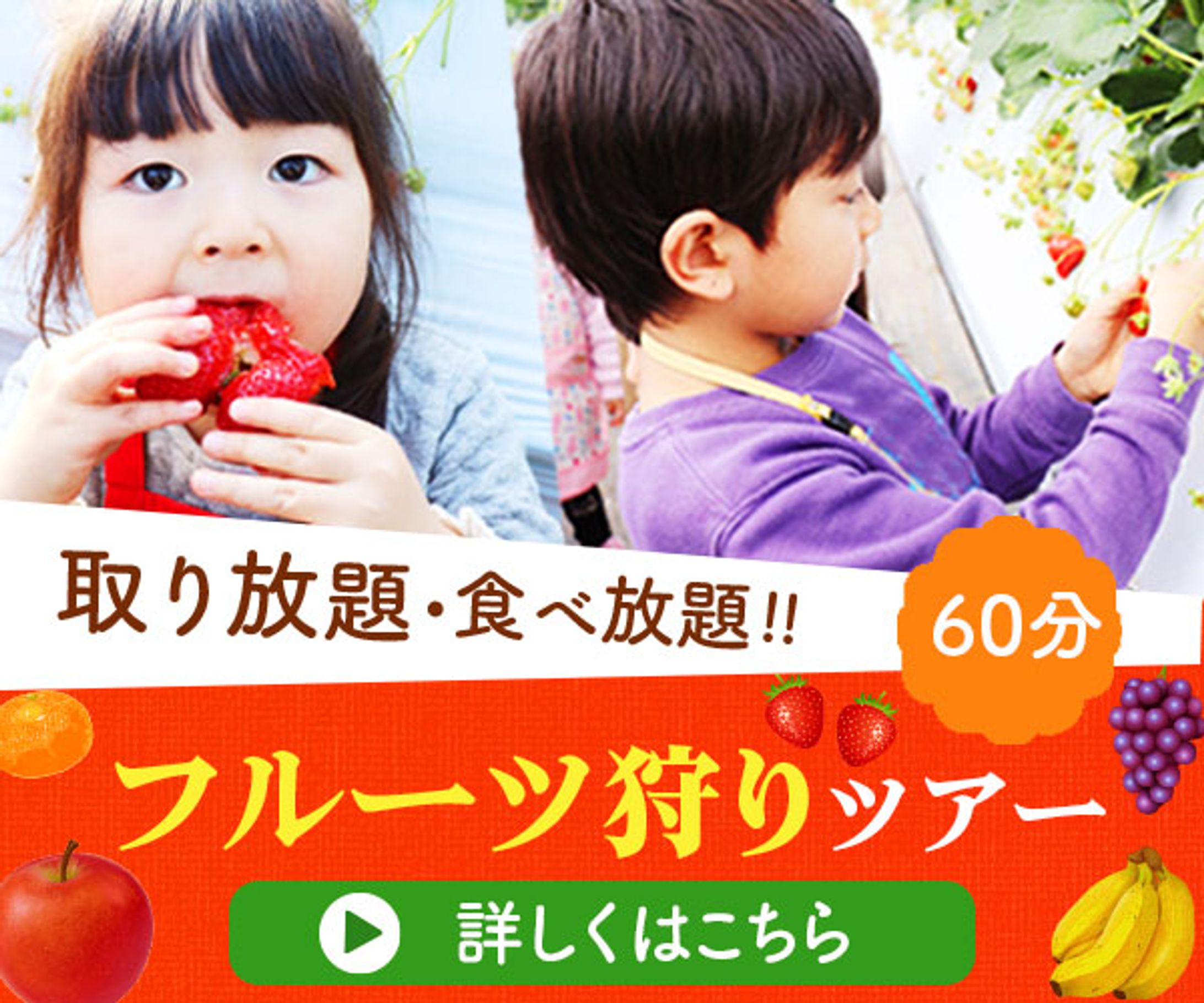 フルーツ狩り　バナー-1