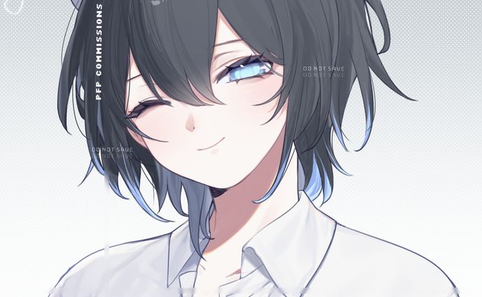 PFP Commissions