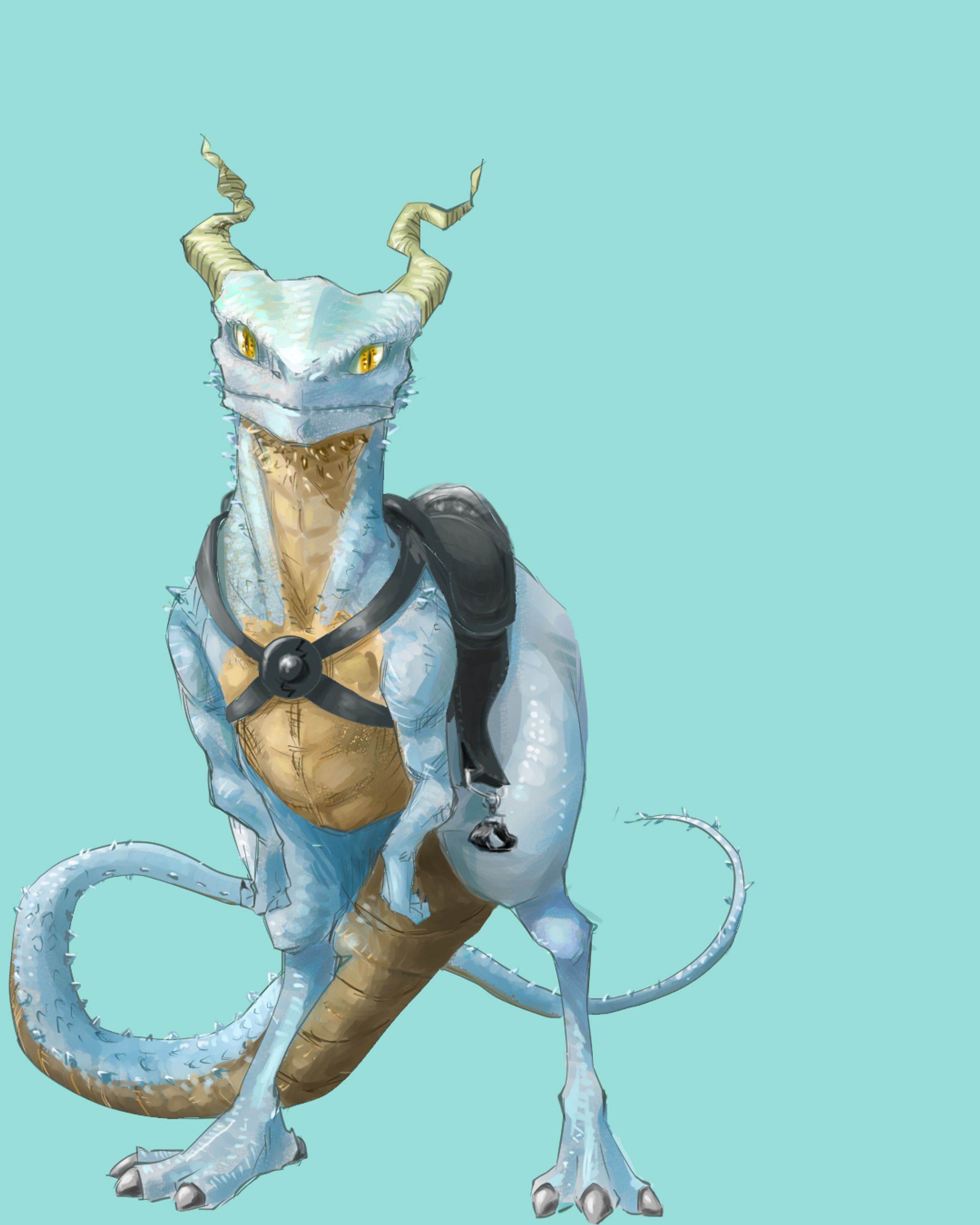 ドラゴン-1