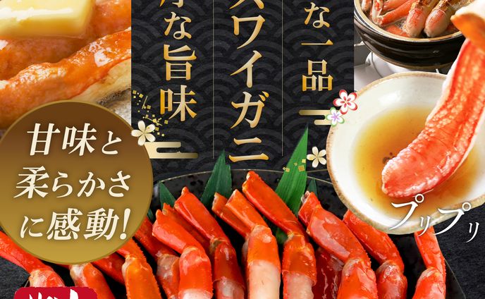 バナー：紅ズワイガニの魅力