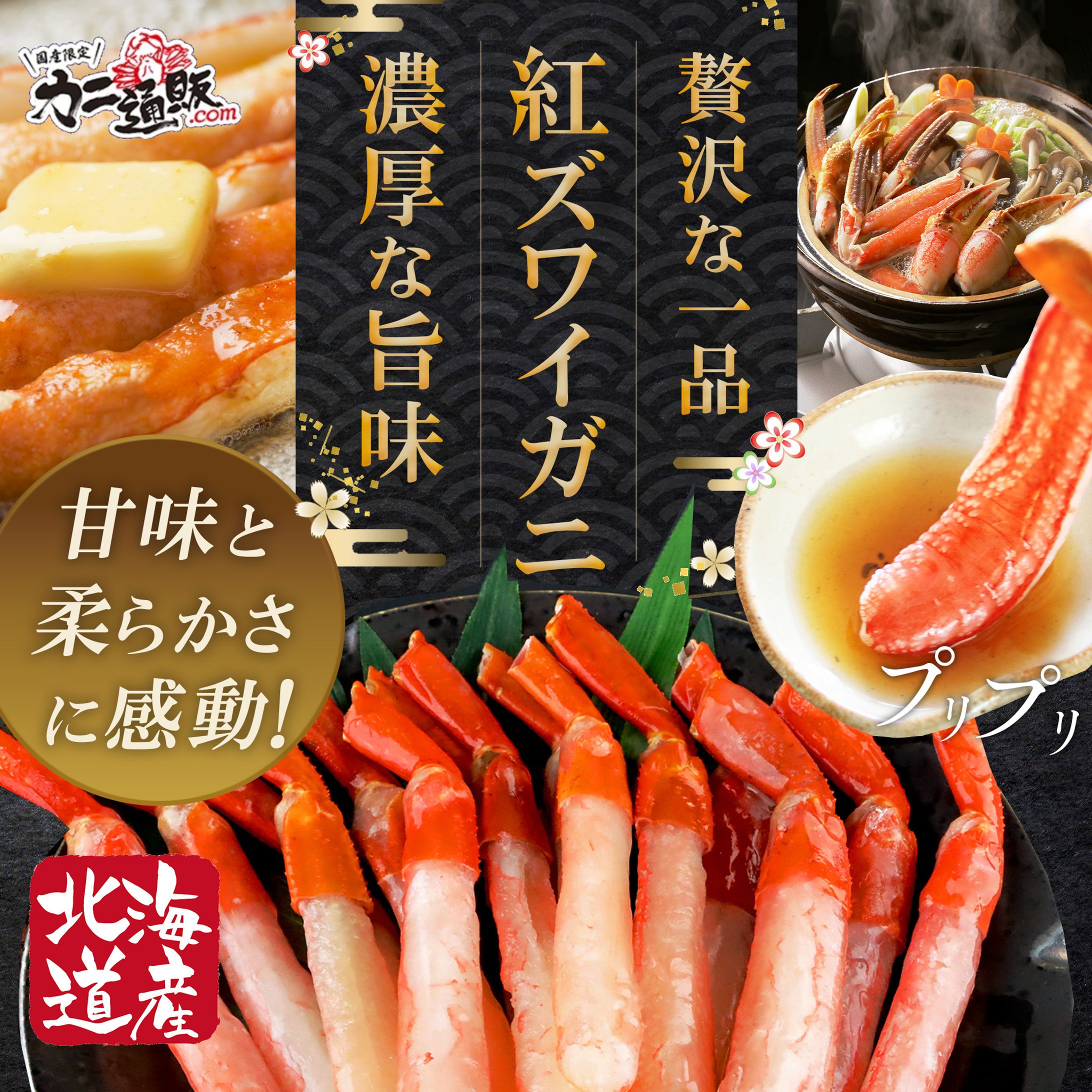 バナー：紅ズワイガニの魅力-1