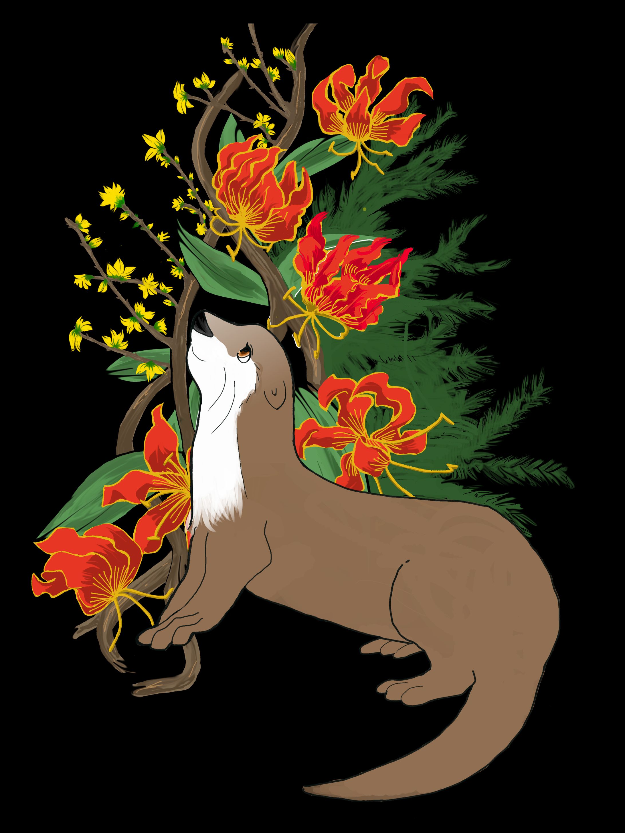 ツメナシカワウソ-1