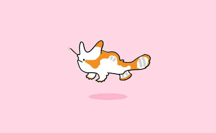 クマドリカエルアンコウ