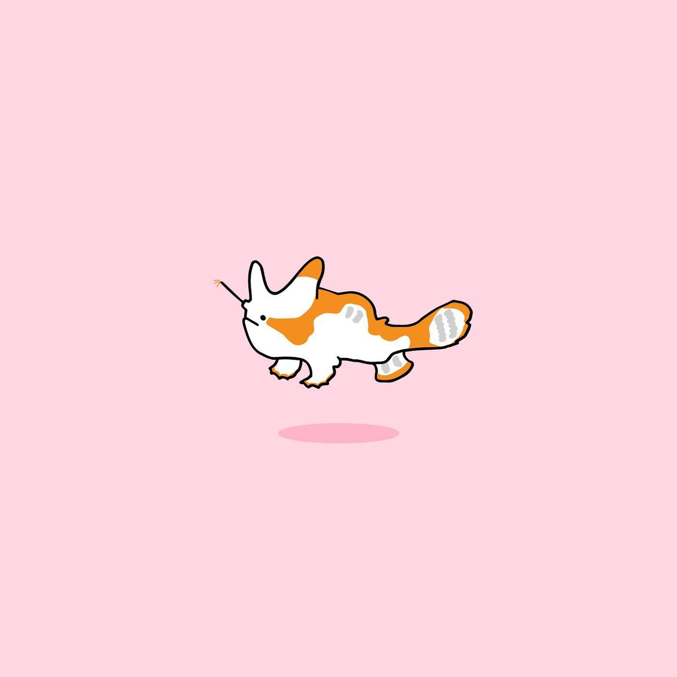 クマドリカエルアンコウ-1