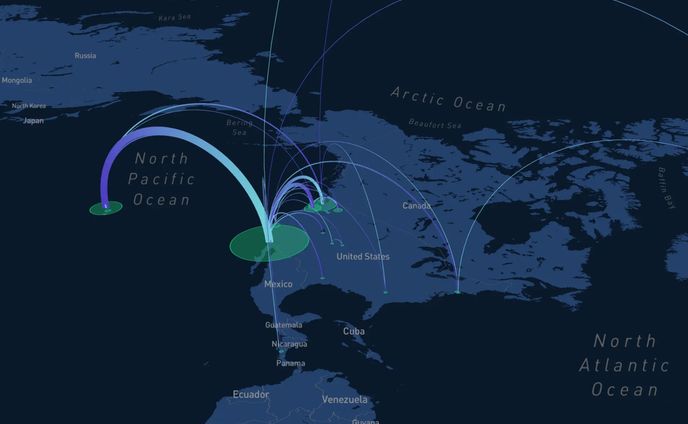 FlightMapper Flight Map Visualization