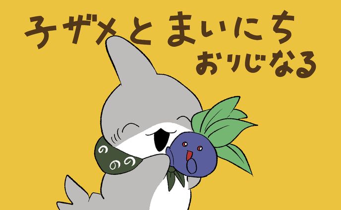 子ザメの日めくりカレンダー