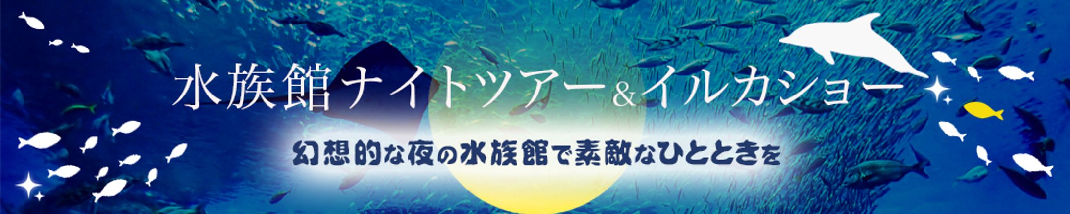 水族館 バナー-1